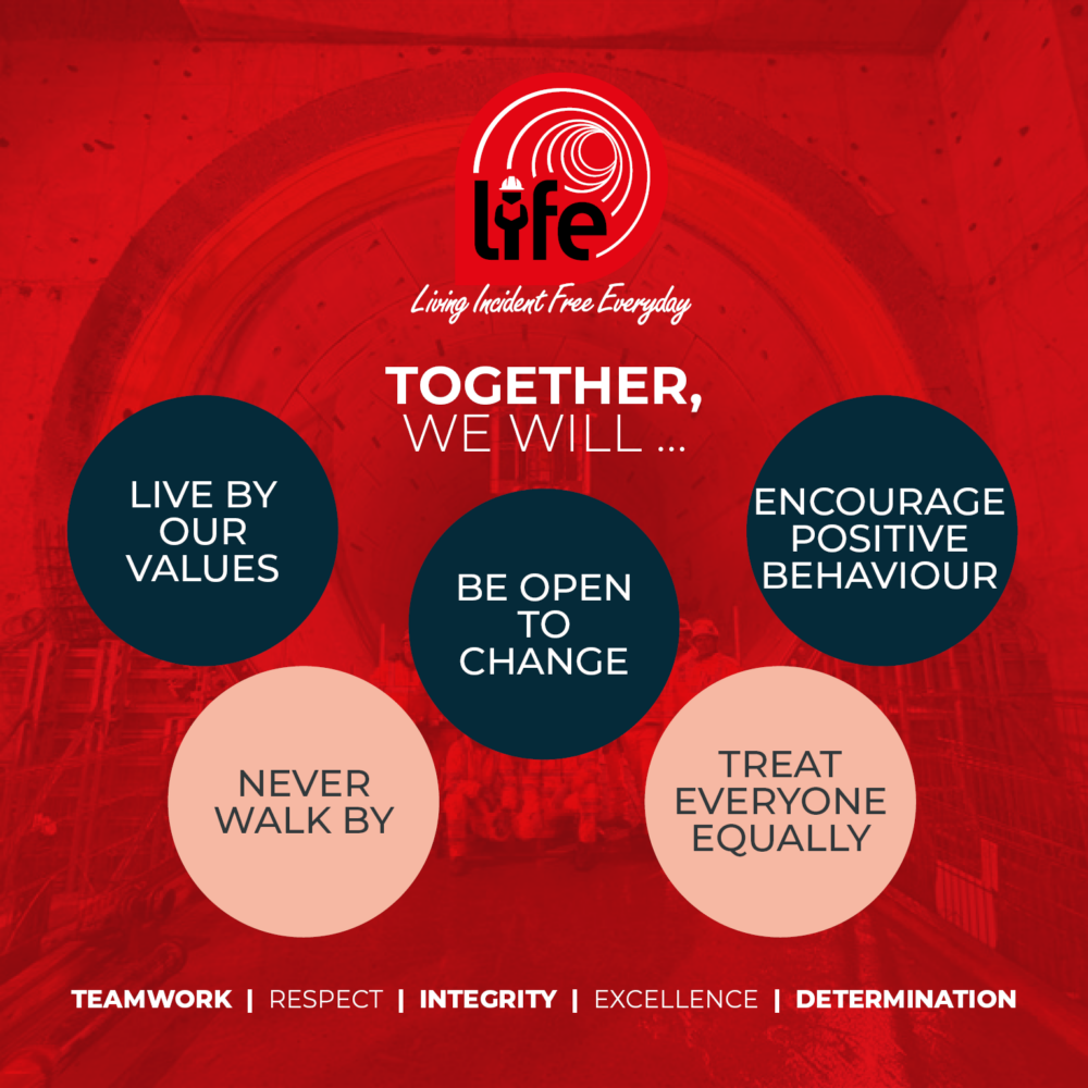 LIFE website graphic 2