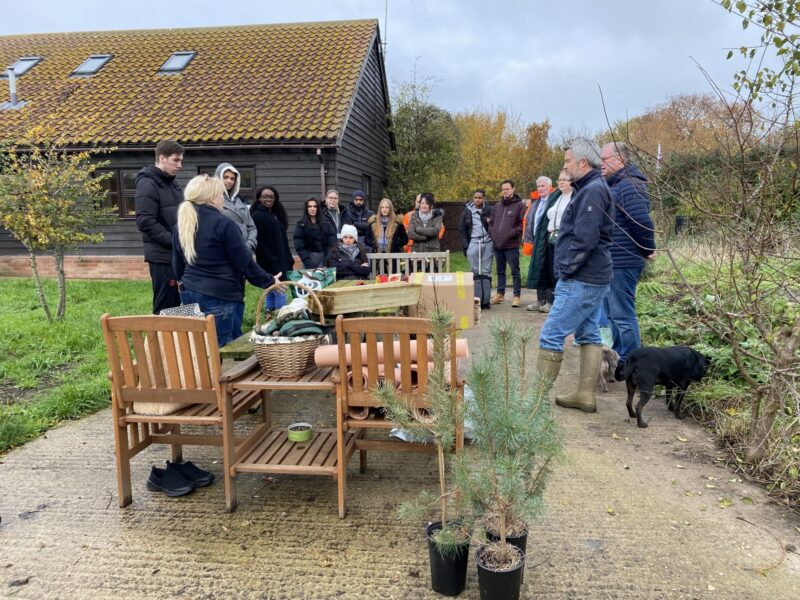 Collaborative Tree Planting